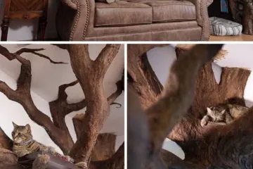 Screenshot 2025 06 14 At 8.13.56 Pm